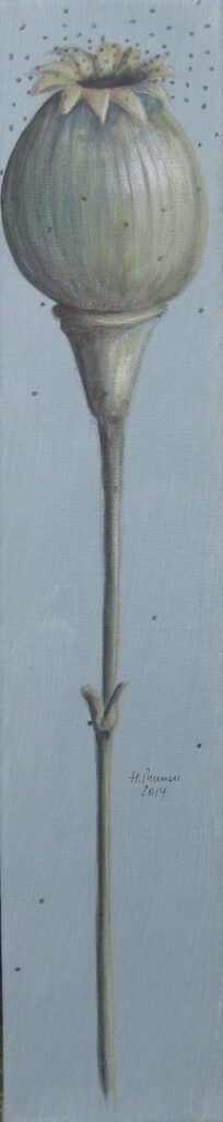 Heike Munser – „Leimkraut“, Zeichnung auf Leinwand, 50 x 10, 2014